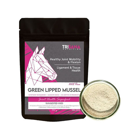 Green Lipped Mussel