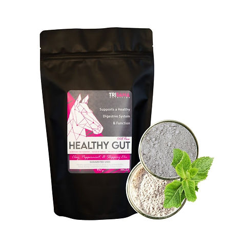 Equine Healthy Gut