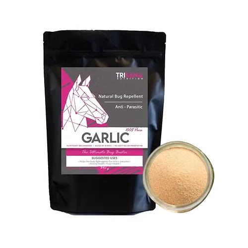 Garlic