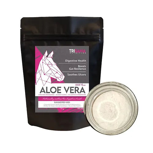 Aloe Vera Powder