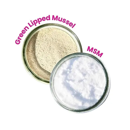 Canine Joint + Muscle