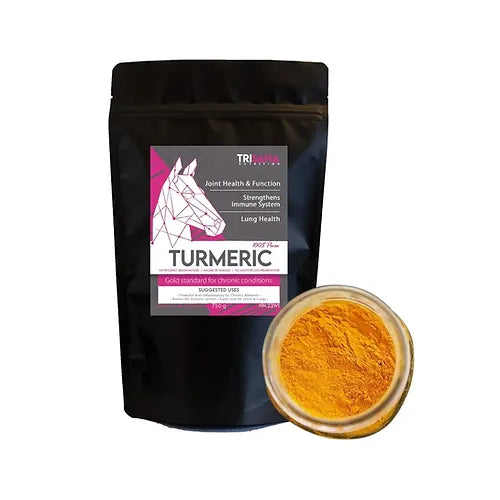 Turmeric Root