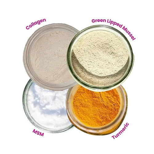 Canine Joint + Muscle PLUS