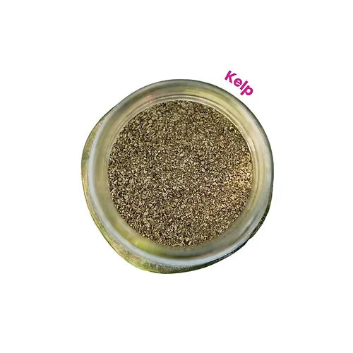 Kelp