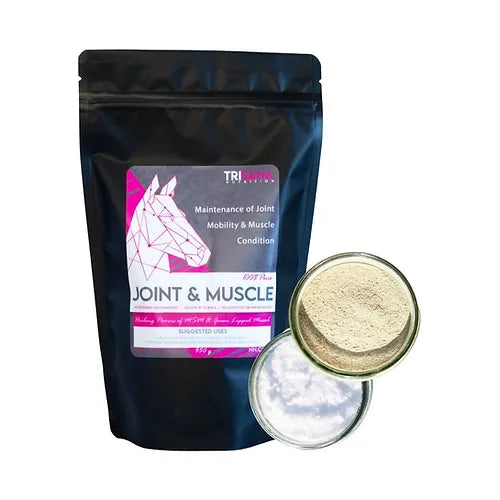 Equine Joint + Muscle