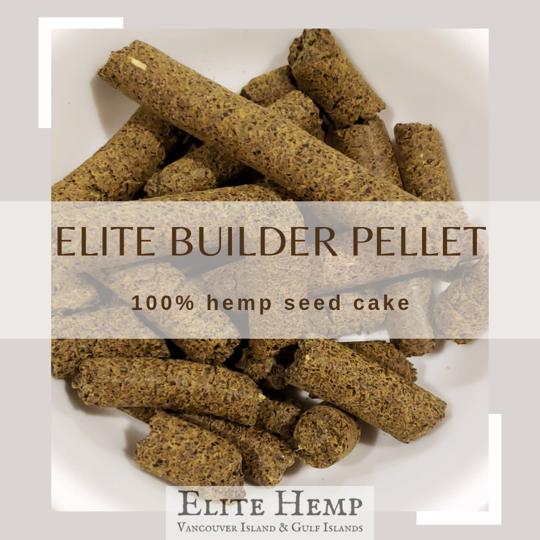 Builder Hemp