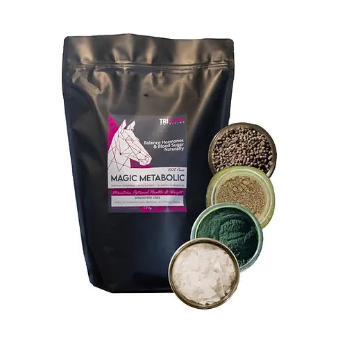 Equine Magic Metabolic