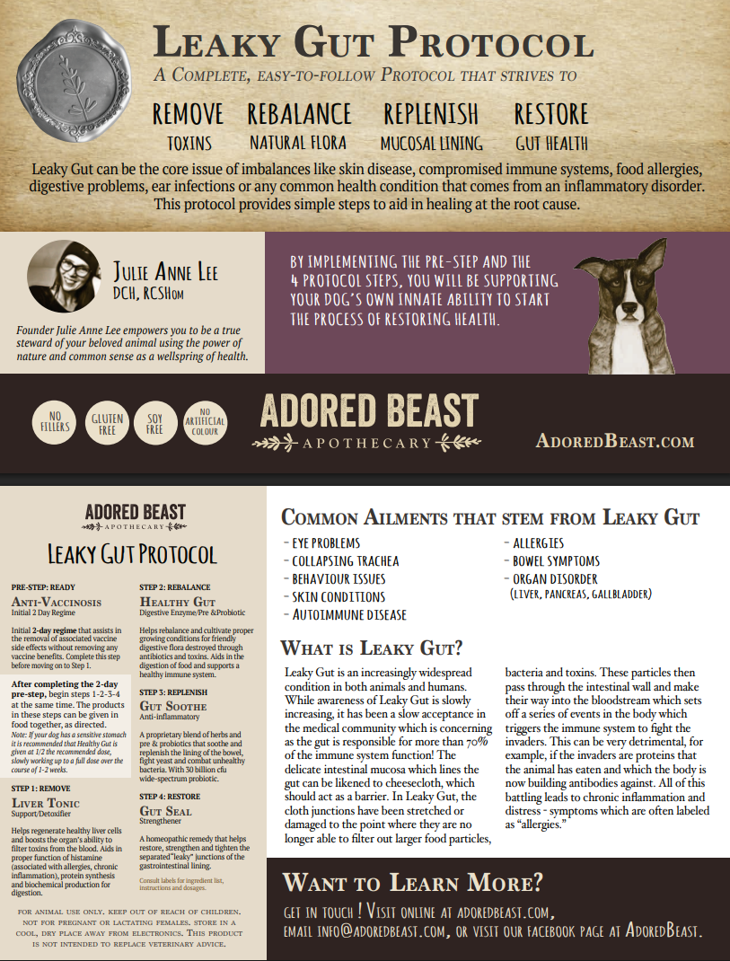 Leaky Gut Protocol for Dogs - 5 Product Kit